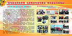 美丽华展板设计