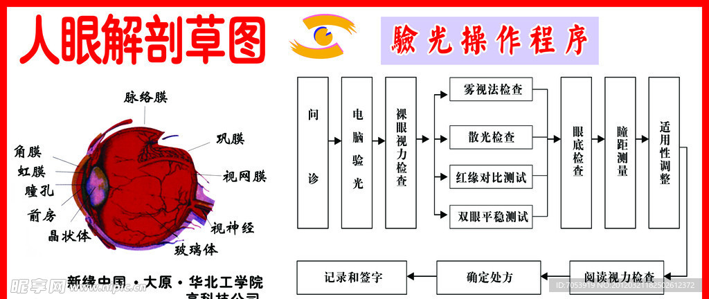 眼球解剖图