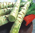 莴苣