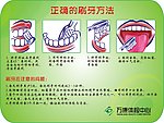 正确的刷牙方法