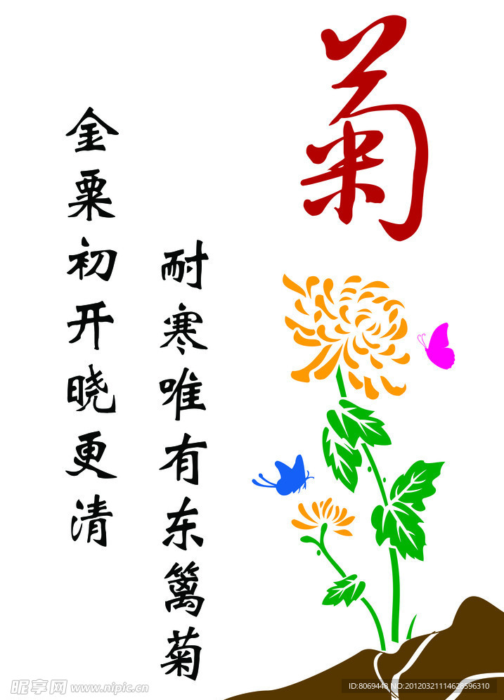 菊花