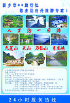 旅游海报设计