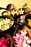 美容鲜花草药