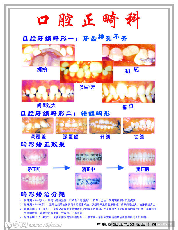 口腔正畸科