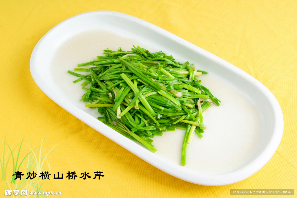 常州餐饮美食青炒横山桥水芹