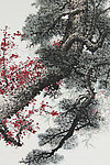梅花（非高清）