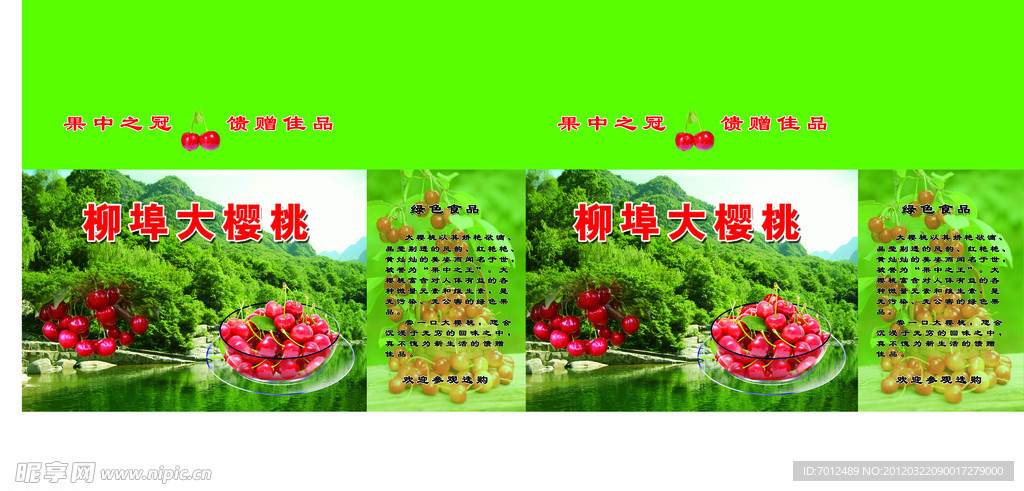 樱桃 包装