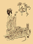 牡丹花神 杨玉环