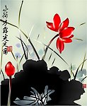 国画荷花