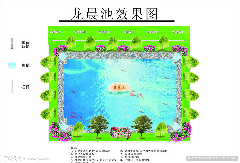 鱼池效果图