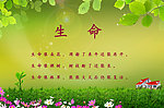 绿色背景素材