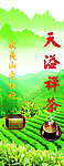 大红袍