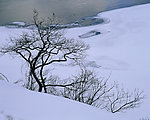 冬日雪景