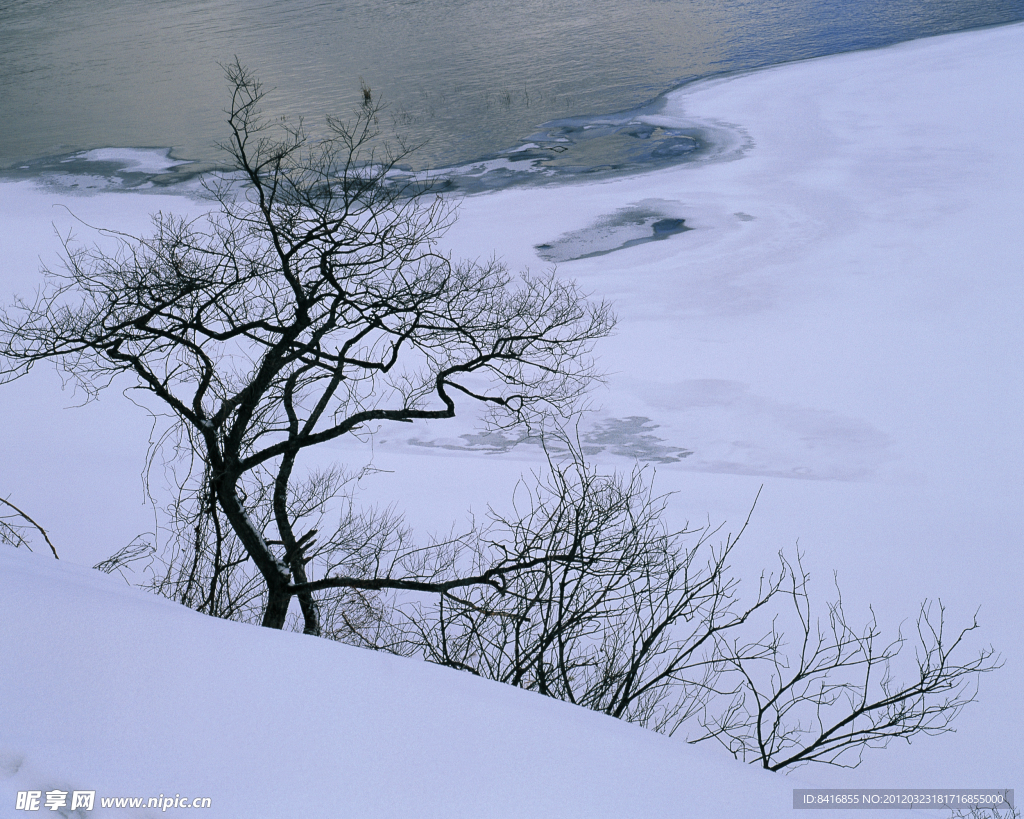 冬日雪景