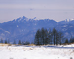 冬日雪景