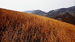 层叠的山岭