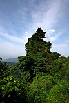 武当山