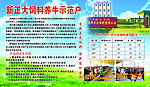 新正大饲料