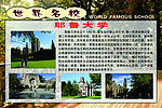 耶鲁大学