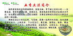 五香豆沫