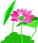 荷花矢量图