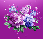 牡丹花