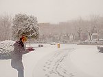雪花飘飘