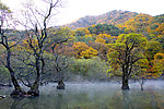 山川流水