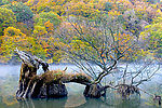 山川流水