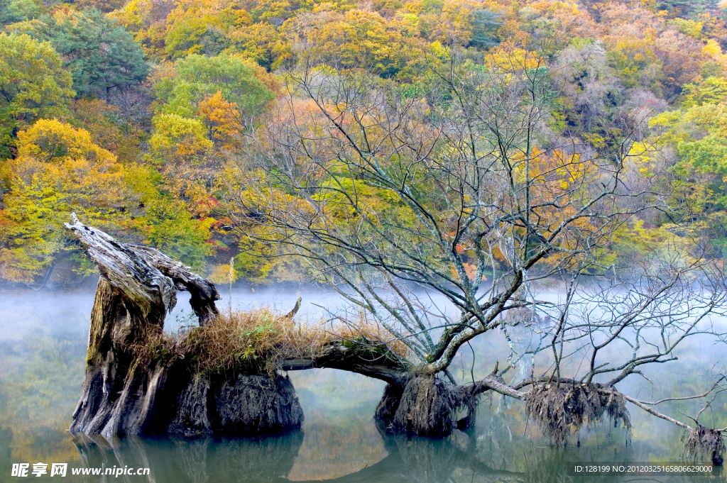 山川流水