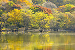 美丽山水风景