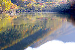 湖面风景