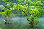 美丽湖泊