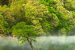 风景壁纸