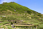 美丽风景