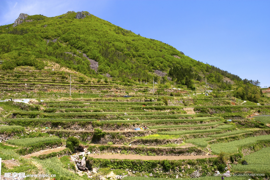 美丽风景