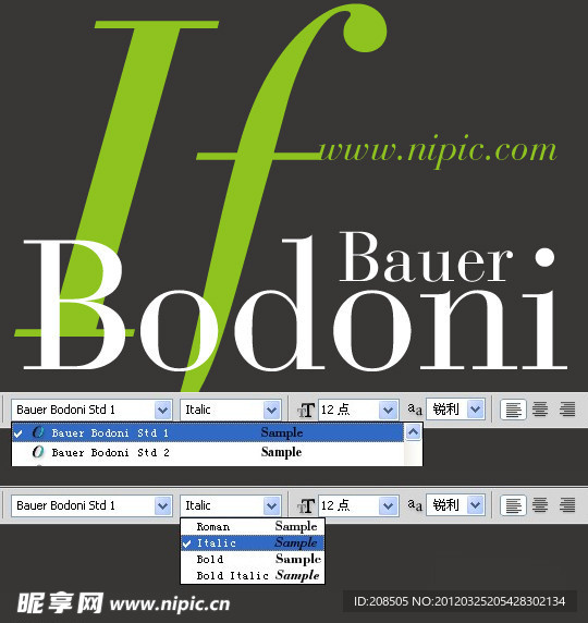 Bauer Bodoni Std系列字体下载