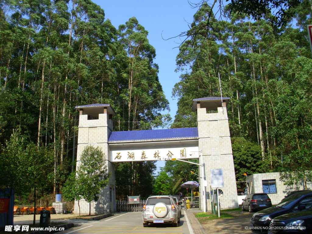 森林公园