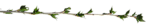 树枝