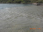 海岸