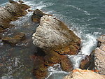 海岸