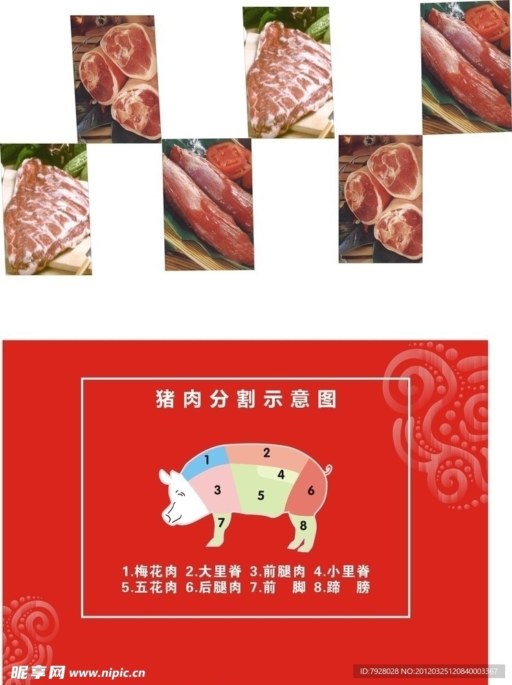 猪肉解剖图
