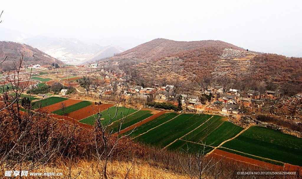 大山村