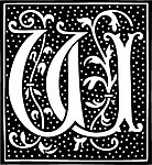 花式字母w