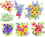 手绘鲜花矢量