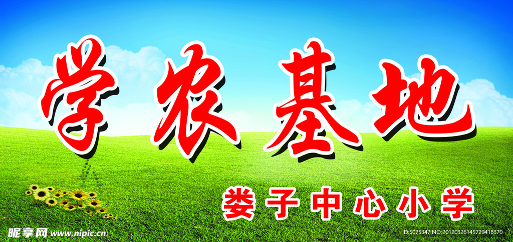 校园展板