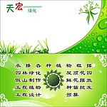 绿色名片