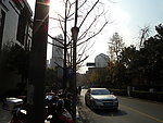 上海街道