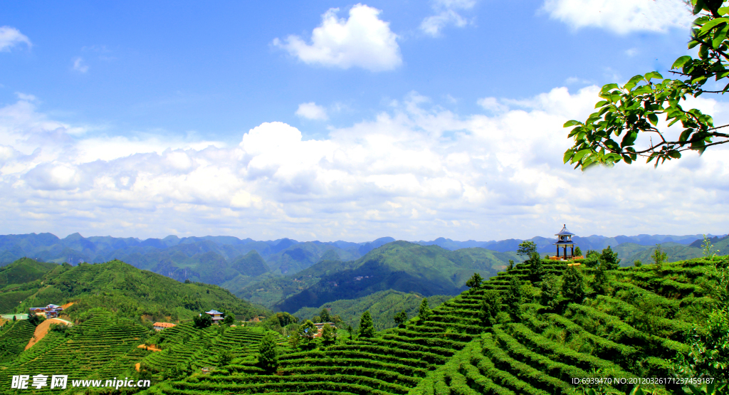 茶山雄姿