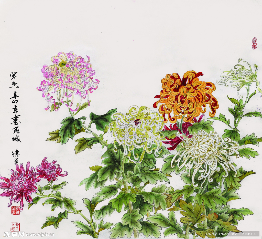 菊花 水墨画